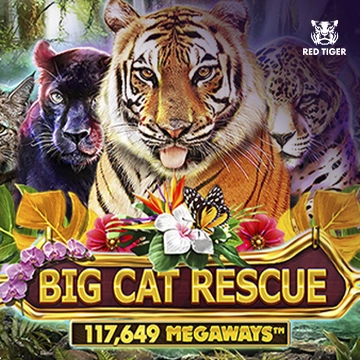 Redtiger : Big Cat Rescue Megaways - STORYBET138