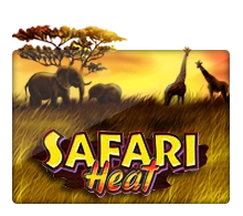 Joker123 : Safari Heat - STORYBET138