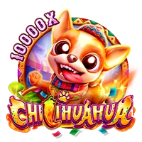 Facai : CHILIHUAHUA - STORYBET138