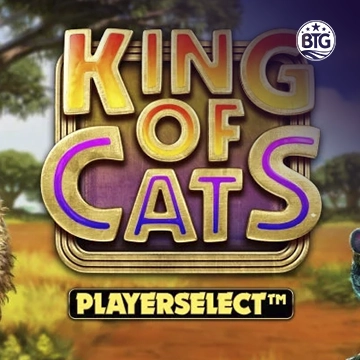 Bigtime : King of Cats - STORYBET138