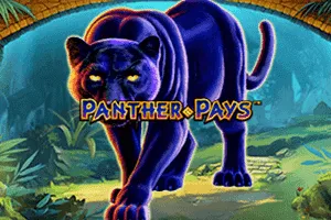 Playtech : Panther Pays - STORYBET138