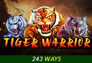 Spadegaming : Tiger Warrior - STORYBET138