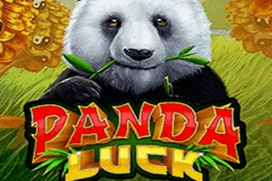 Playtech : Panda Luck - STORYBET138