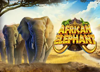 Pragmatic : African Elephant - STORYBET138